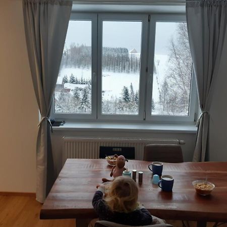 Apartman U Kunstatskeho Mlyna Orlicke Zahori Buitenkant foto