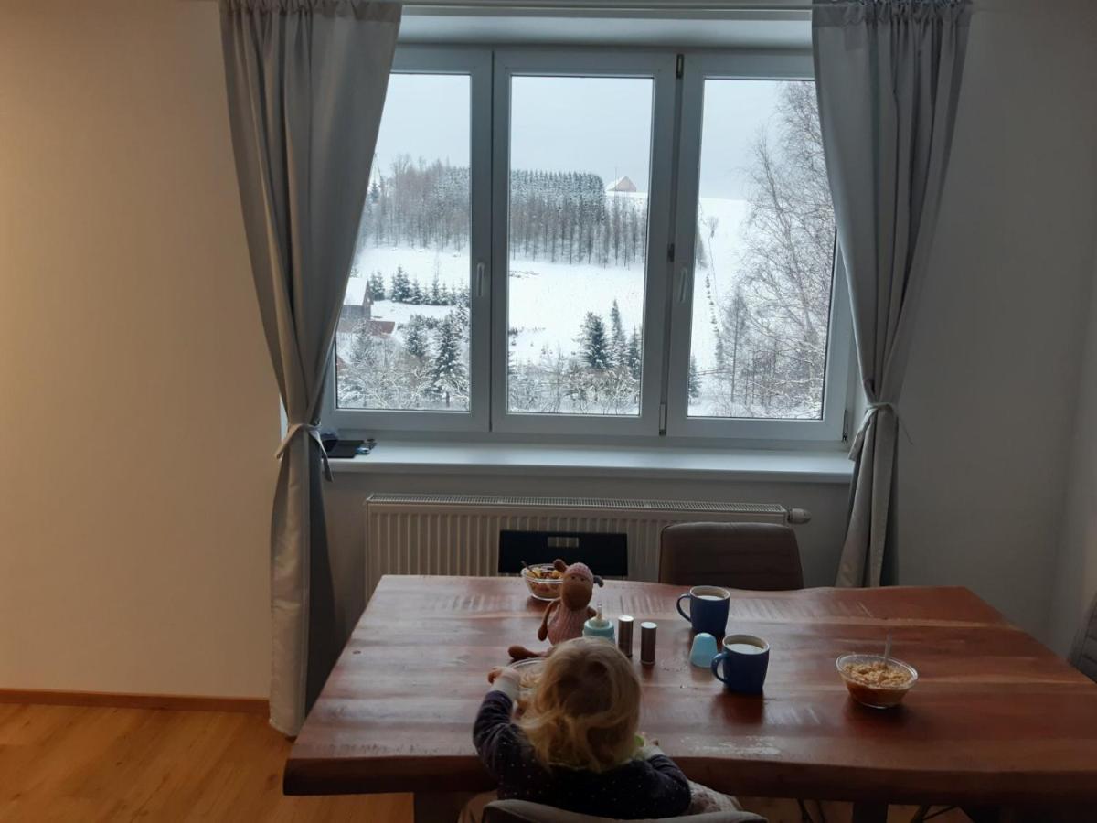 Apartman U Kunstatskeho Mlyna Appartement Orlicke Zahori Buitenkant foto