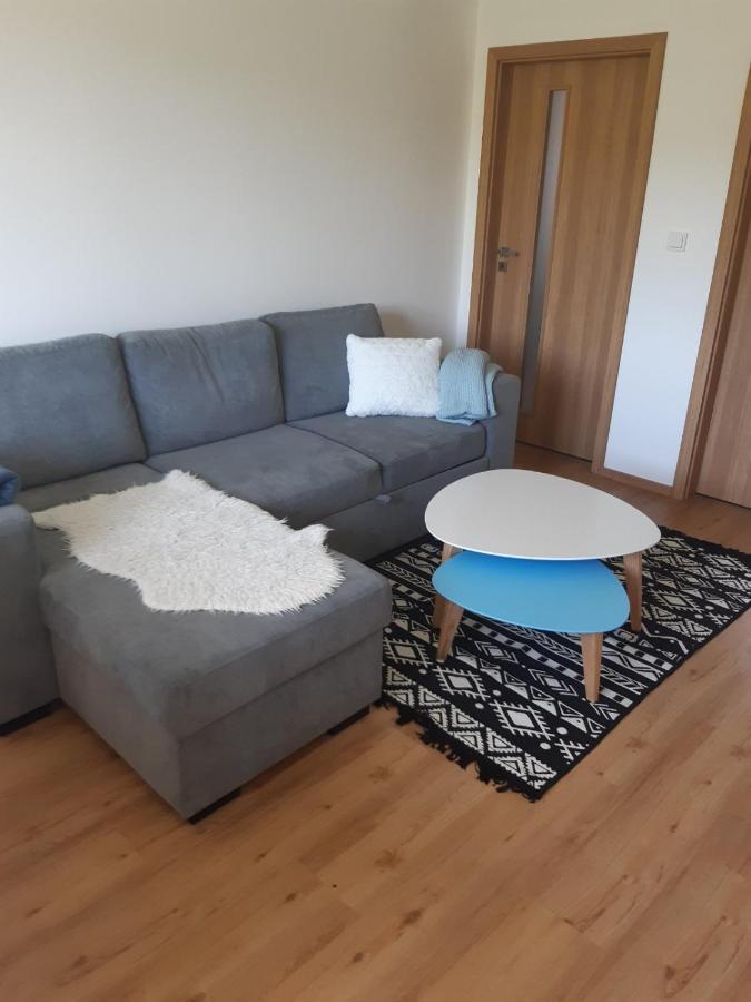 Apartman U Kunstatskeho Mlyna Appartement Orlicke Zahori Buitenkant foto