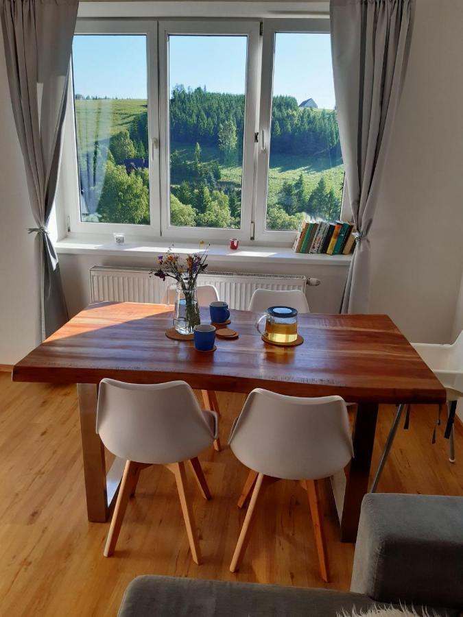 Apartman U Kunstatskeho Mlyna Orlicke Zahori Buitenkant foto
