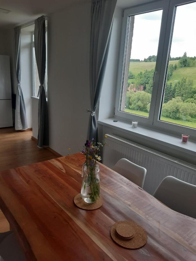 Apartman U Kunstatskeho Mlyna Appartement Orlicke Zahori Buitenkant foto