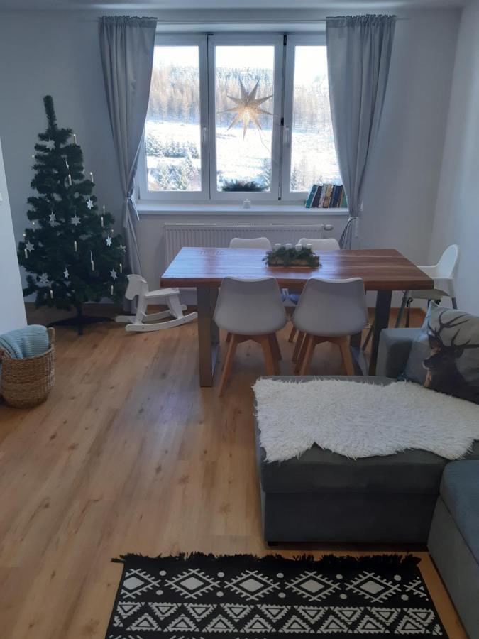 Apartman U Kunstatskeho Mlyna Appartement Orlicke Zahori Buitenkant foto