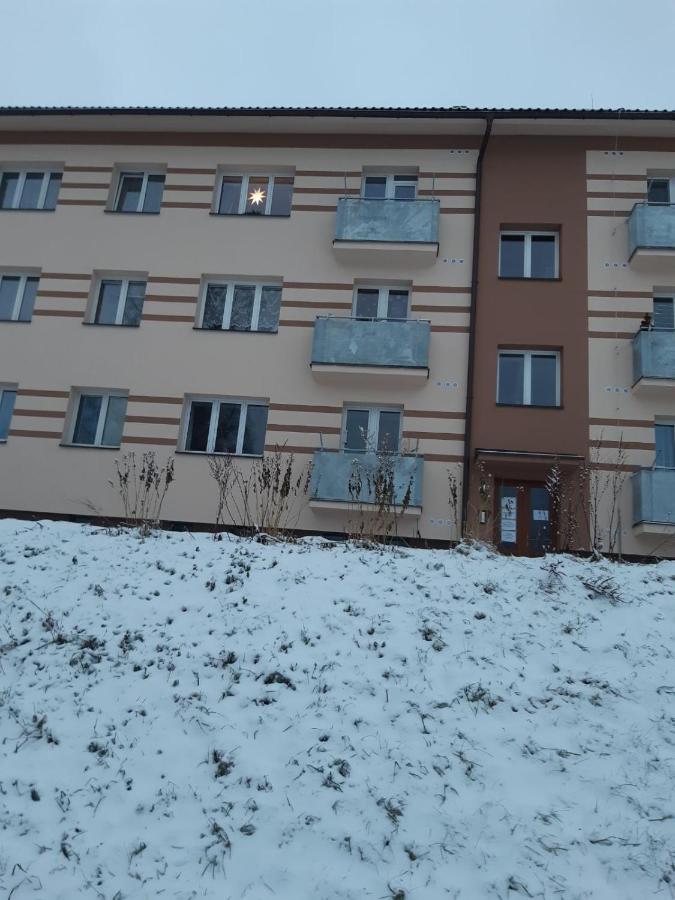 Apartman U Kunstatskeho Mlyna Appartement Orlicke Zahori Buitenkant foto