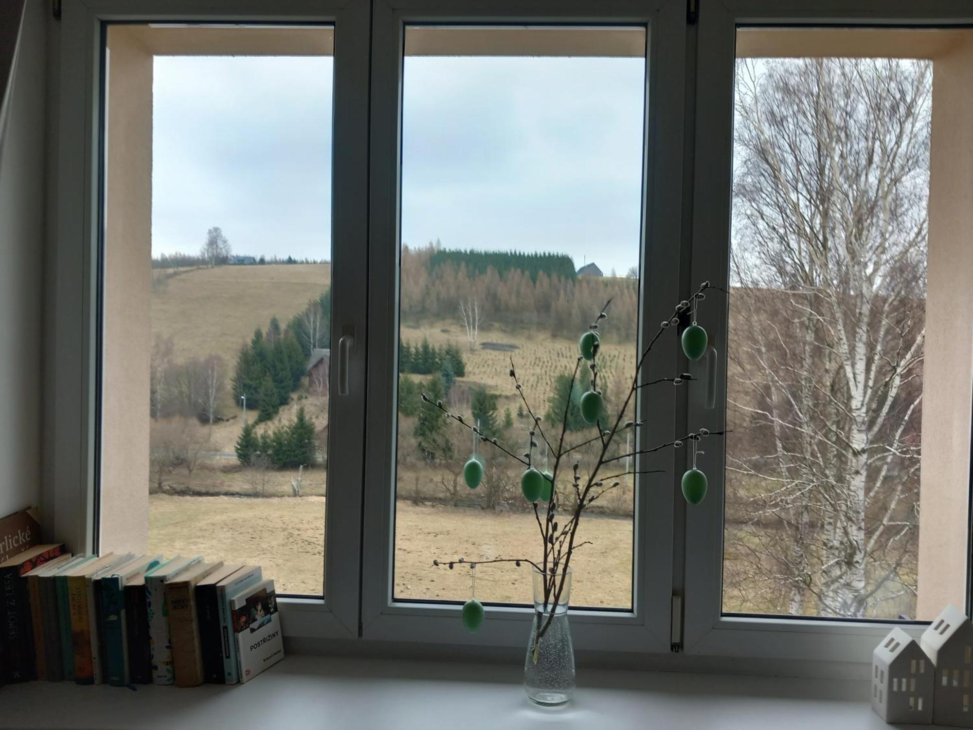 Apartman U Kunstatskeho Mlyna Orlicke Zahori Buitenkant foto